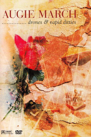 Augie March: Meredith Music Festival 2003 Augie March: Meredith Music Festival 2003