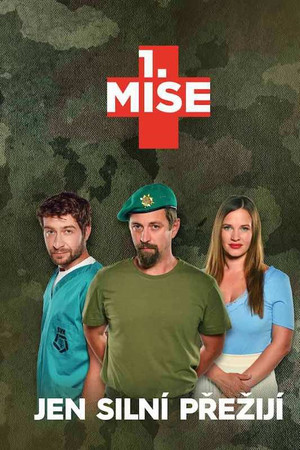 1. MISE