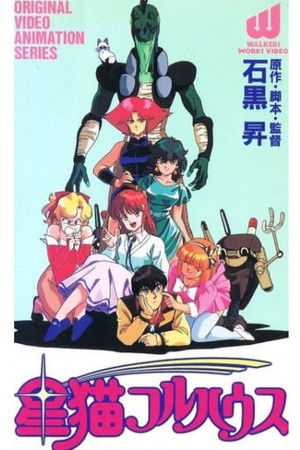 Star Cat Full House Star Cat Full House