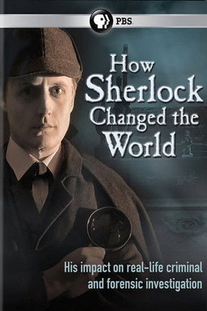How Sherlock Changed the World How Sherlock Changed the World