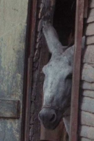 Machete Gillette... Mama Machete Gillette... Mama