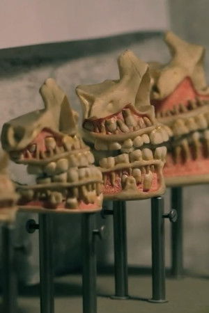 The Factory The Factory