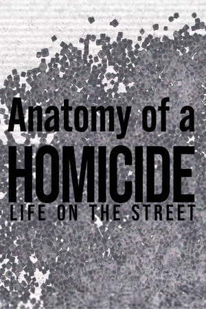 Anatomy of a 'Homicide: Life on the Street' Anatomy of a 'Homicide: Life on the Street'