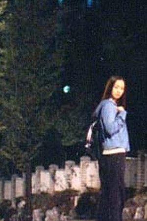 Living in New Town Living in New Town