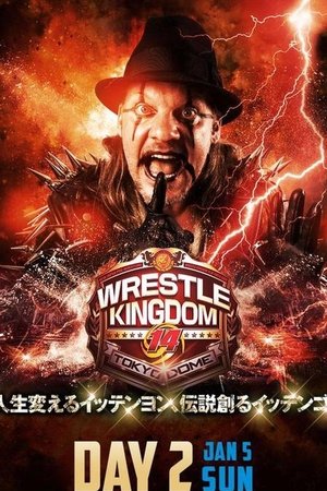 NJPW Wrestle Kingdom 14: Night 2 NJPW Wrestle Kingdom 14: Night 2