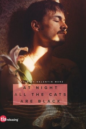 At Night All the Cats Are Black At Night All the Cats Are Black