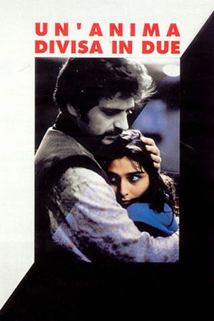 A Soul Split in Two A Soul Split in Two