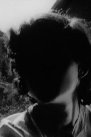 Unglassed Windows Cast a Terrible Reflection Unglassed Windows Cast a Terrible Reflection