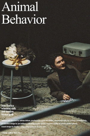 Animal Behavior Animal Behavior