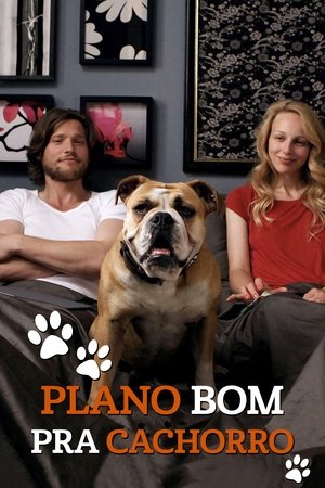 Nein, Aus, Pfui! Ein Baby an der Leine Nein, Aus, Pfui! Ein Baby an der Leine