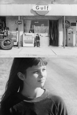 The Knight of the Rose The Knight of the Rose