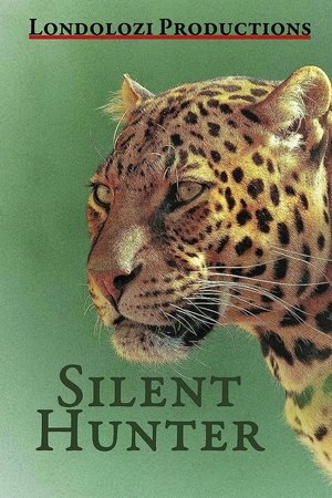 Silent Hunter