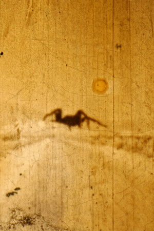 Bielefeld Lichtwerk Bielefeld Lichtwerk