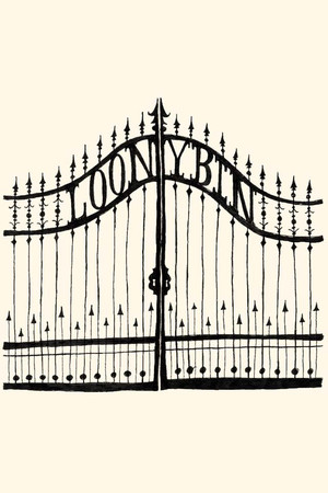 Loony Bin Loony Bin