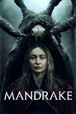 Mandrake Mandrake