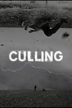 Culling Culling