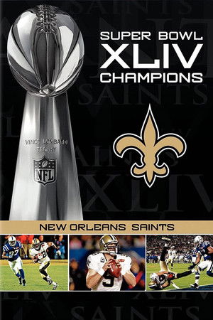 NFL Super Bowl XLIV Champions: New Orleans Saints (2008-2010) NFL Super Bowl XLIV Champions: New Orleans Saints (2008-2010)
