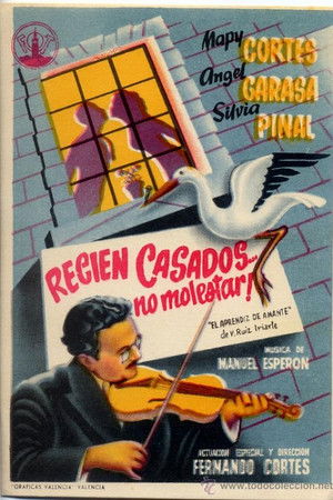 Recién casados... no molestar Recién casados... no molestar
