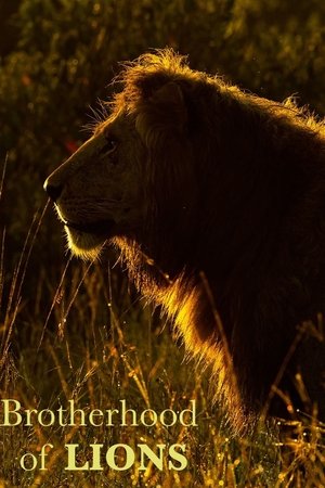 Brotherhood of Lions Brotherhood of Lions