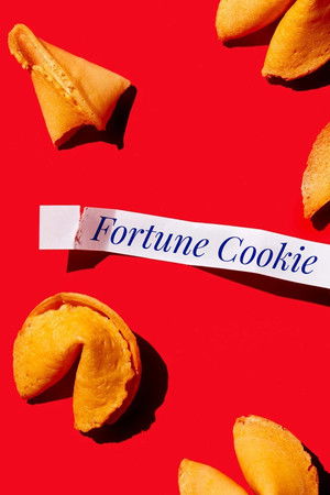 Fortune Cookie Fortune Cookie