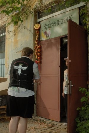 Paws in Paradise Paws in Paradise