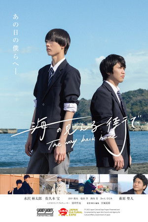 The way back home The way back home