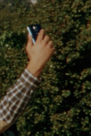 Cellular Immune Response Cellular Immune Response