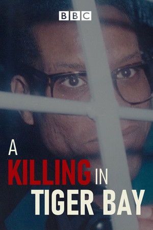 A Killing in Tiger Bay A Killing in Tiger Bay