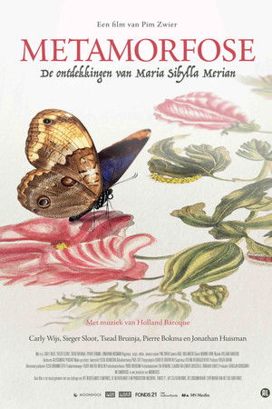 Metamorphosis Metamorphosis