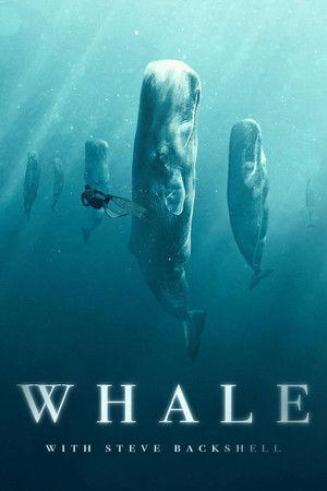 Whale with Steve Backshall Whale with Steve Backshall