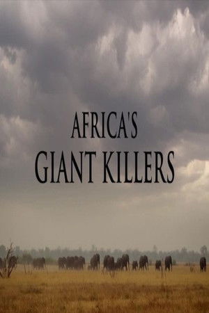 Africa's Giant Killers Africa's Giant Killers