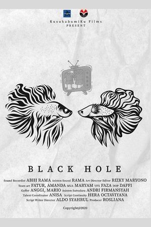 Black Hole Black Hole