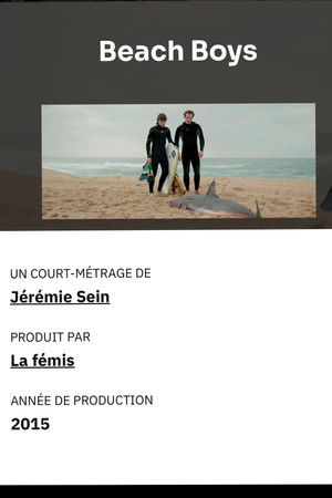 Beach Boys Beach Boys