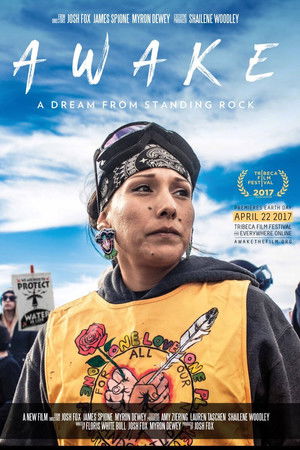 Awake, a Dream from Standing Rock Awake, a Dream from Standing Rock