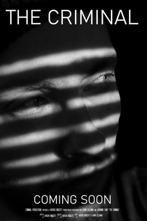 The Criminal The Criminal