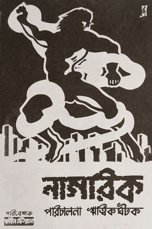 The Citizen The Citizen