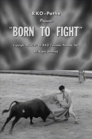 Born to Fight Born to Fight