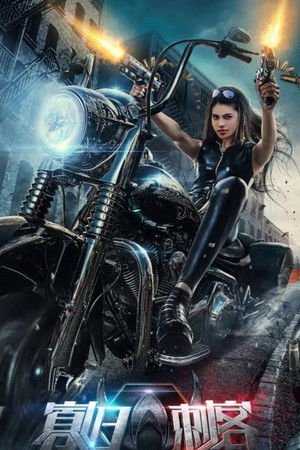 The Widows Assassin The Widows Assassin