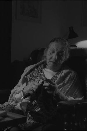 The Domestic Fly The Domestic Fly