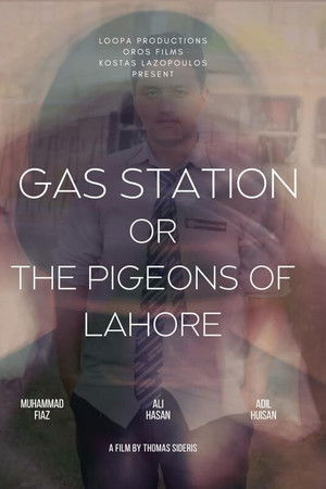The Pigeons of Lahore