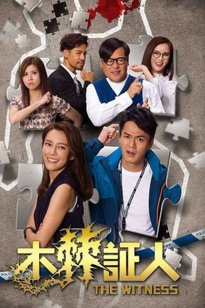 The Witness The Witness