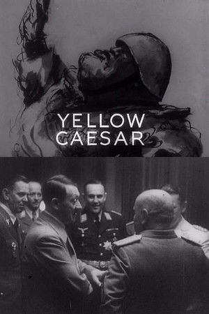 Yellow Caesar Yellow Caesar
