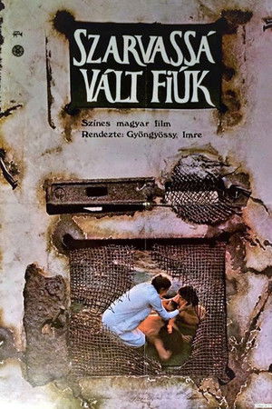 Sons of Fire Sons of Fire