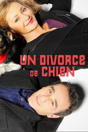 Un divorce de chien Un divorce de chien
