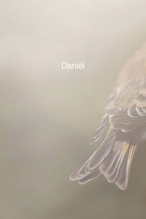 Daniël Daniël