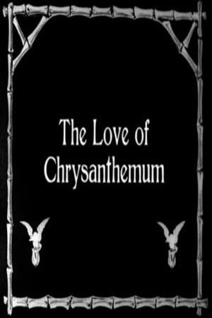 The Love of Chrysanthemum The Love of Chrysanthemum