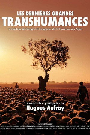 Les dernières grandes transhumances