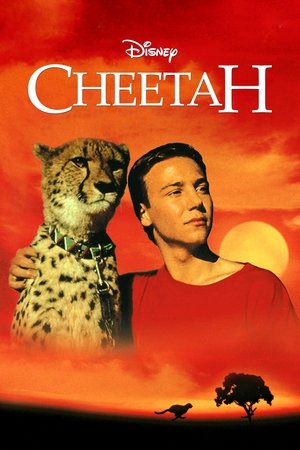 Cheetah Cheetah