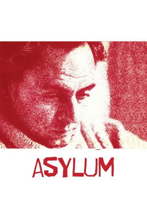 Asylum Asylum