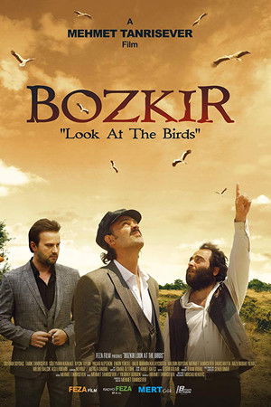 Bozkir "Look at the Birds"